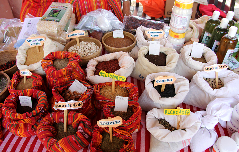Traditional seed varieties at a seed fair in Guatemala.