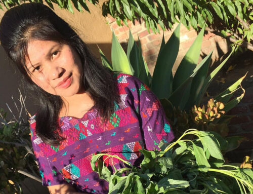Meet Josselin Chun