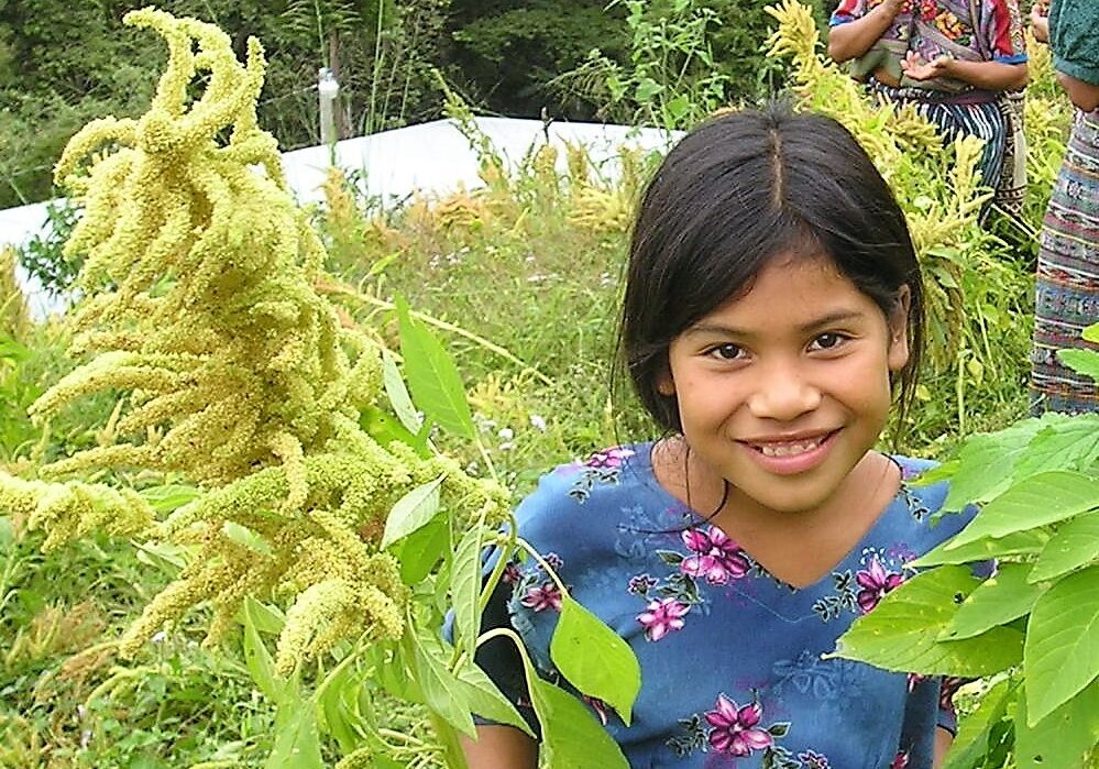 Amaranth Improves Early Childhood Nutrition