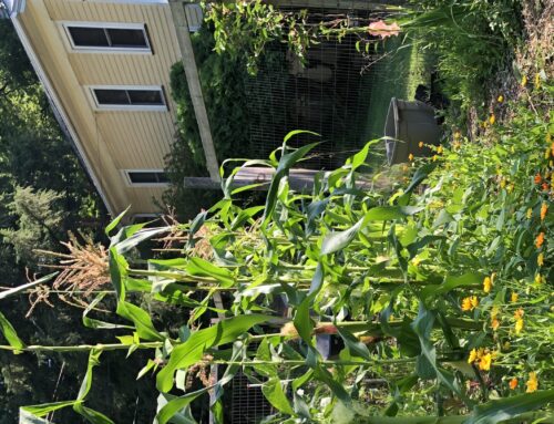 Building Resilience at The Garden’s Edge
