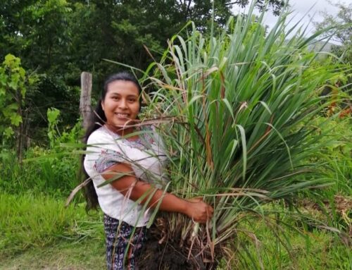 Midwife, Spiritual Healer and Curandera
