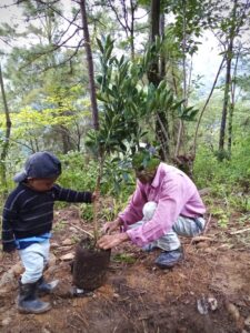 ae944d1a-f00f-4e82-ac92-e1db857119f8