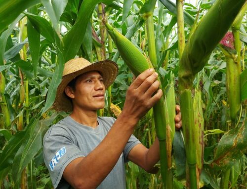 Decolonizing Agriculture in Guatemala