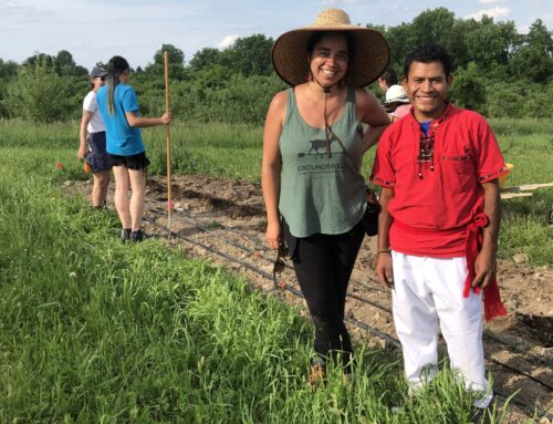 Seed Travels to the Northeast
