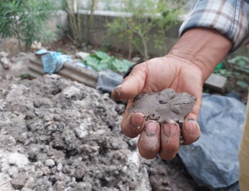 Building With Clay: Lessons From the Past