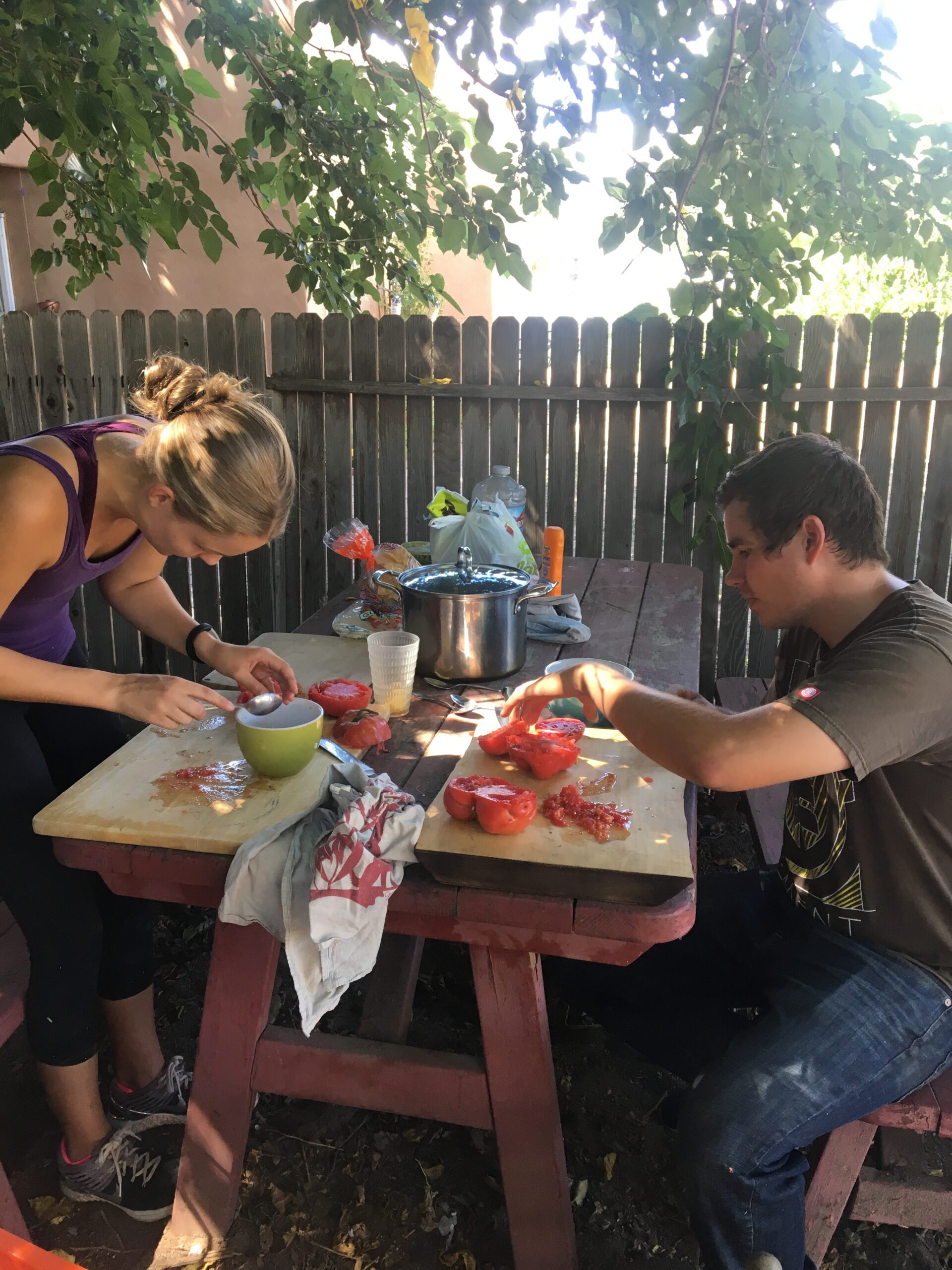 Here we are cleaning the first harvest of seeds in Albuquerque with a group of students from the University of New Mexico.