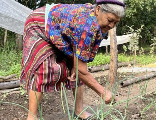 2025 Winter Newsletter