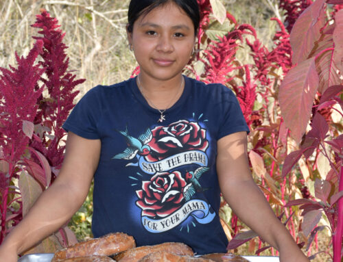 Qachuu Aloom Report Impact