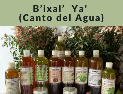 Catalogo B’ixal Ya’